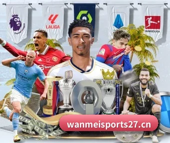 完美体育sports27 APP